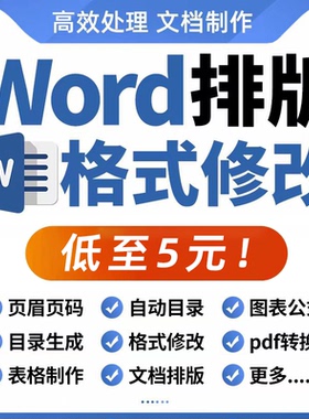 word排版处理文档编辑转换修改格式pdf调整美化代做制作wps表格图