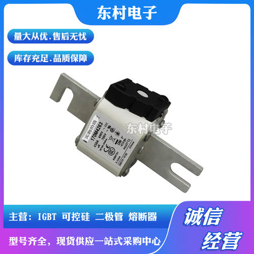 熔断器全新170M4364 170M4365 170M4366 170M4367 170M4368 现货