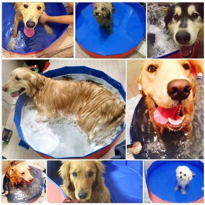 宠物洗澡盆可折叠大型犬金毛狗狗游泳池浴缸洗澡桶洗猫咪浴盆