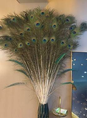 孔雀毛真羽毛家里摆设的装饰品客厅摆件大件插孔雀毛羽毛的花瓶