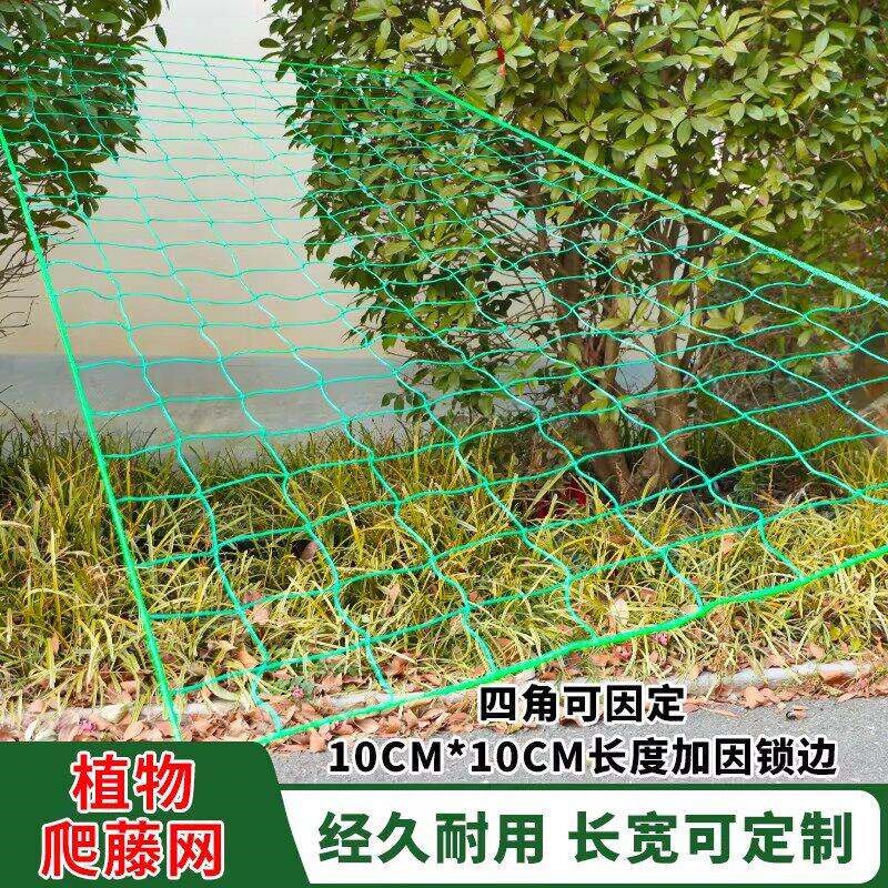热销植物爬藤网攀援网园艺搭架网瓜果丝瓜苦瓜月季藤蔓花卉攀爬种