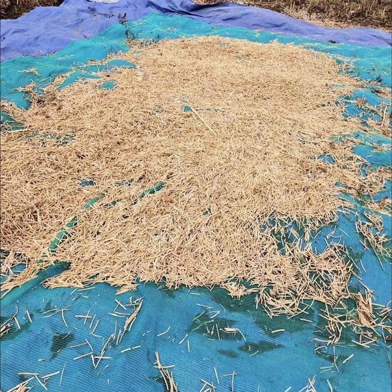 热销打油菜籽专用网筛菜籽网收油菜籽的工具专用布家用过滤网晒油