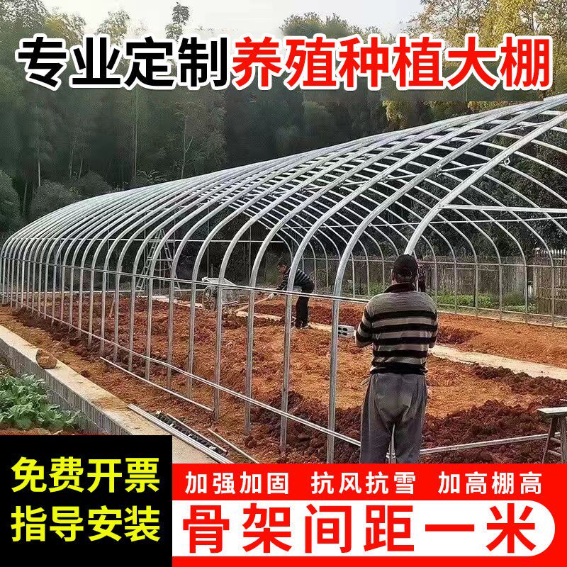 热销养殖大棚全套大棚骨架家用温室种植棚专业养鸡棚羊棚牛棚养猪