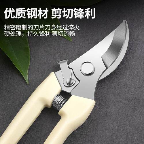 热销园艺剪刀剪树枝专用修枝剪套装剪果树花卉修花剪枝剪园艺工具