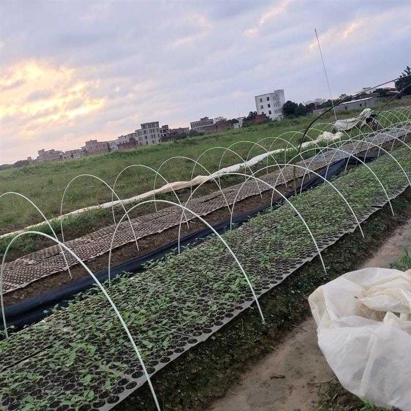 热销拱棚支架玻璃纤维塑料大棚支撑架拱形架子菜园艺实心柱拱立杆