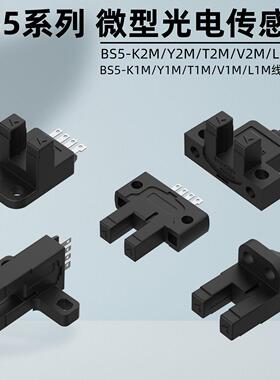 奥托尼克斯BS5槽型光电开关L2M-T2M-Y2M-K2M-V2M-L1M-K1M-T1M-Y1M