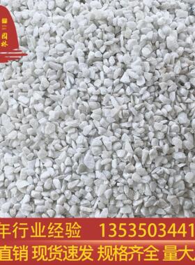 吨位价白色石米白砾石雪花白广东枯山水石子庭院铺路装饰小白石子