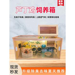 芦丁鸡笼恒温育雏箱放大仓鼠笼爬行动物笼宠物鸡笼松木实木窝