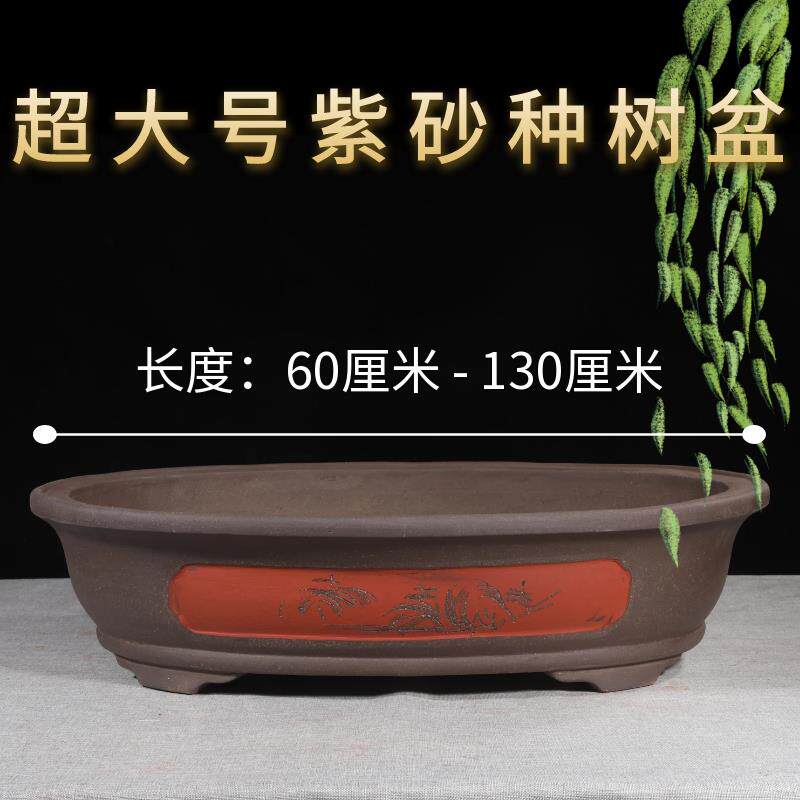 特大紫砂椭圆形腰元宝盆大口径种树大气复古宜兴纯手工大口径花卉