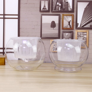 热销创意桌面水培瓶植物透明玻璃花瓶绿萝花盆鱼花共养缸水养摆件