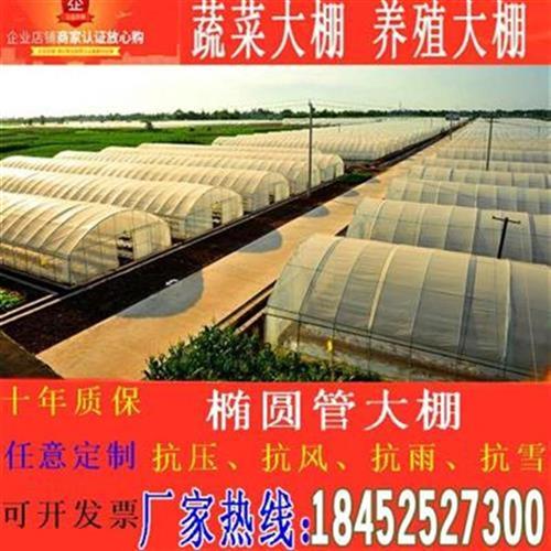 热销825/625温室鸡舍养殖花卉蔬A菜大棚骨架K钢管配件全套抗压椭