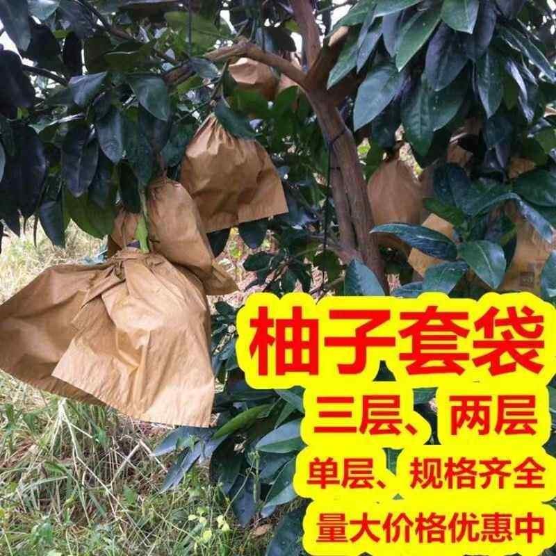 热销柚子套袋专用袋蜜柚金柚防虫鸟防水双层沙田柚水果果袋果树纸