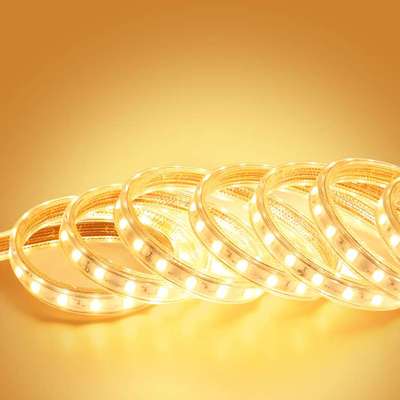 36V户外防水LED灯带24V工程隧道塔吊工地楼梯照明养殖220V灯带条