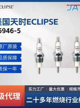 Eclipse天时打火针 16946-5 烧嘴燃烧机配件点火电极工业点火棒