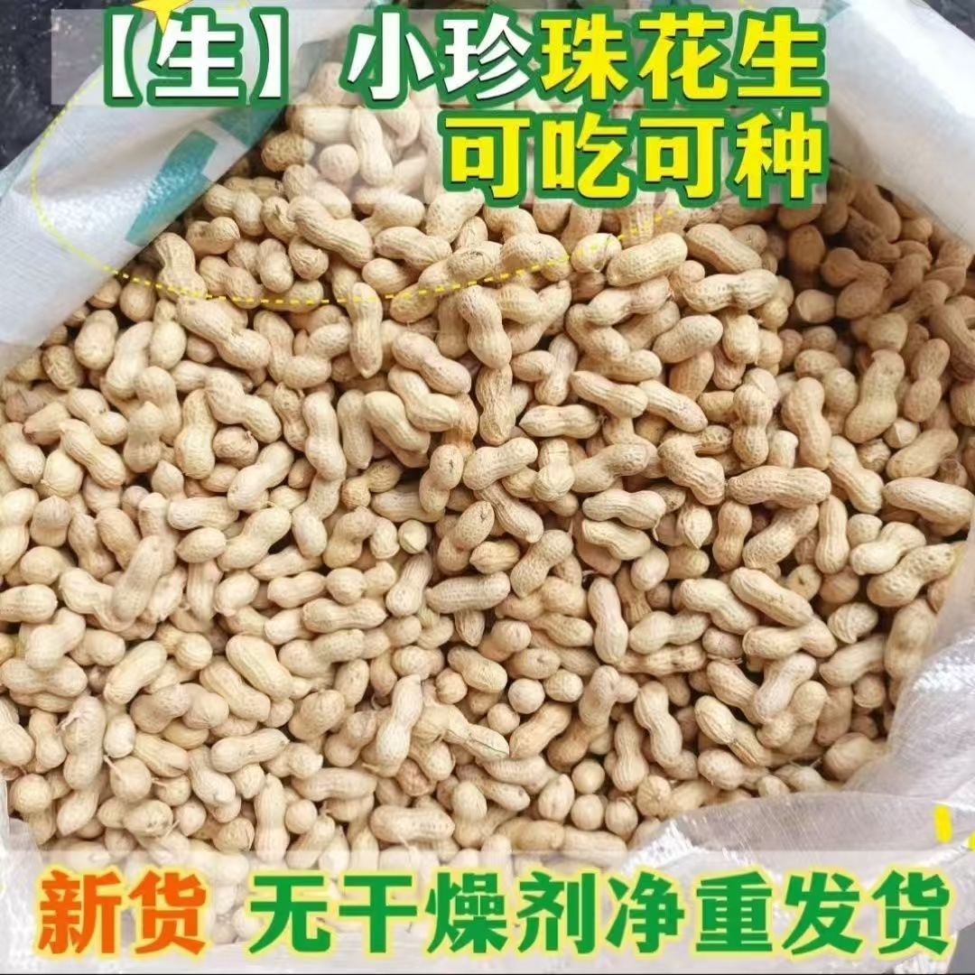【1斤/5斤】25年新货东北小花生带壳花生自然晒干薄皮其他粮食