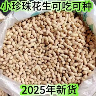 【25年净重农家新货珍珠小花生自然晾晒带壳生花生批发商超榨油】