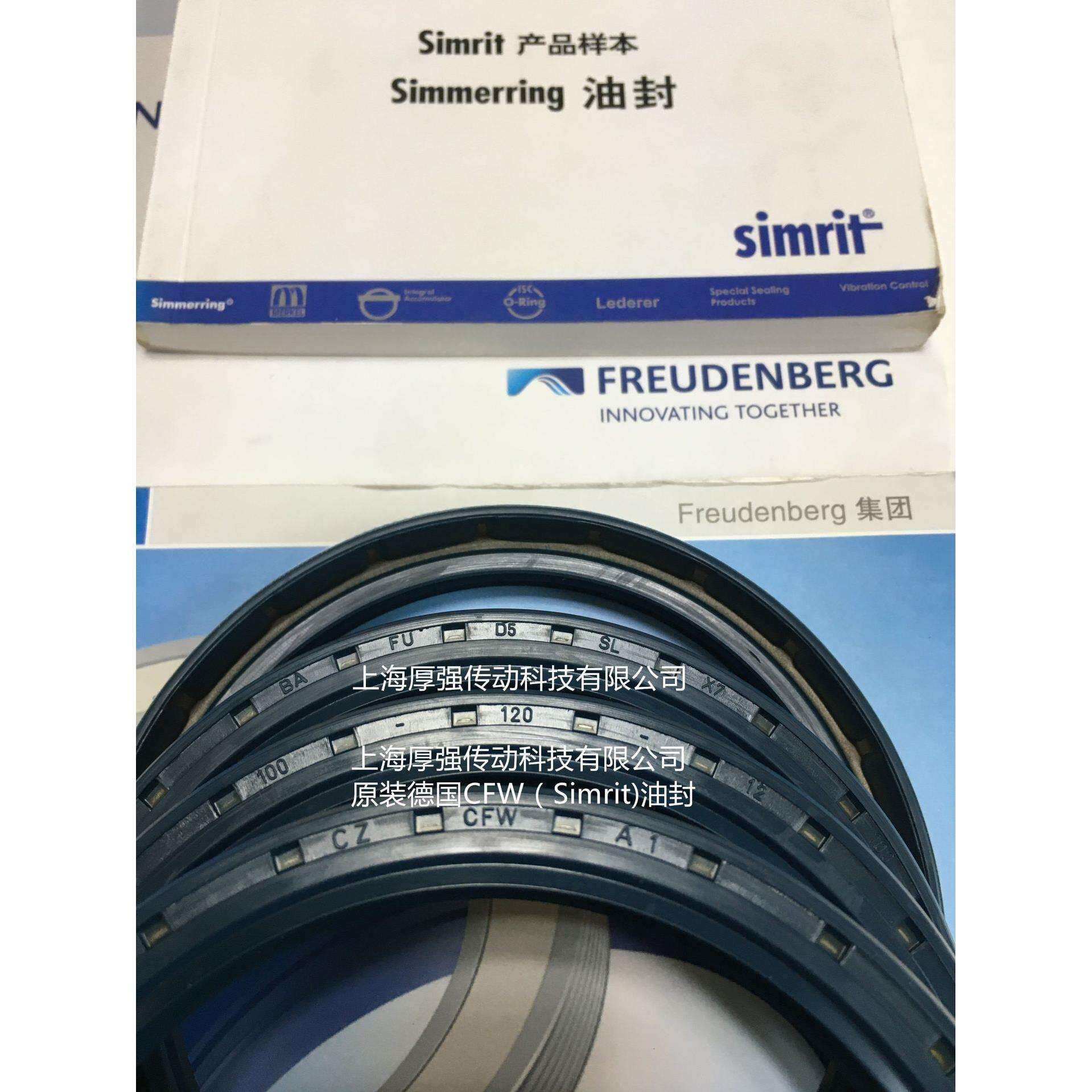 德国Simrit/FREUDENBERG科德宝油封CZCFWBAFUD4SLX790-120-13