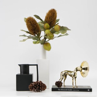 热销现代简约黑白花瓶金色狗组合餐边柜玄关电视柜软装饰品摆件组