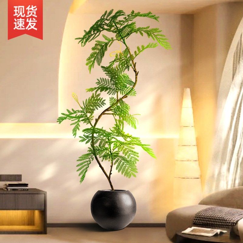 热销绿植装饰摆件落地大型客厅入户玄关电视柜旁边室内盆栽蓝花楹