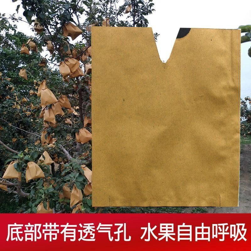 热销桃子黄梨子水蜜桃专用单双层加厚蜡纸厂家袋子防虫水果套袋