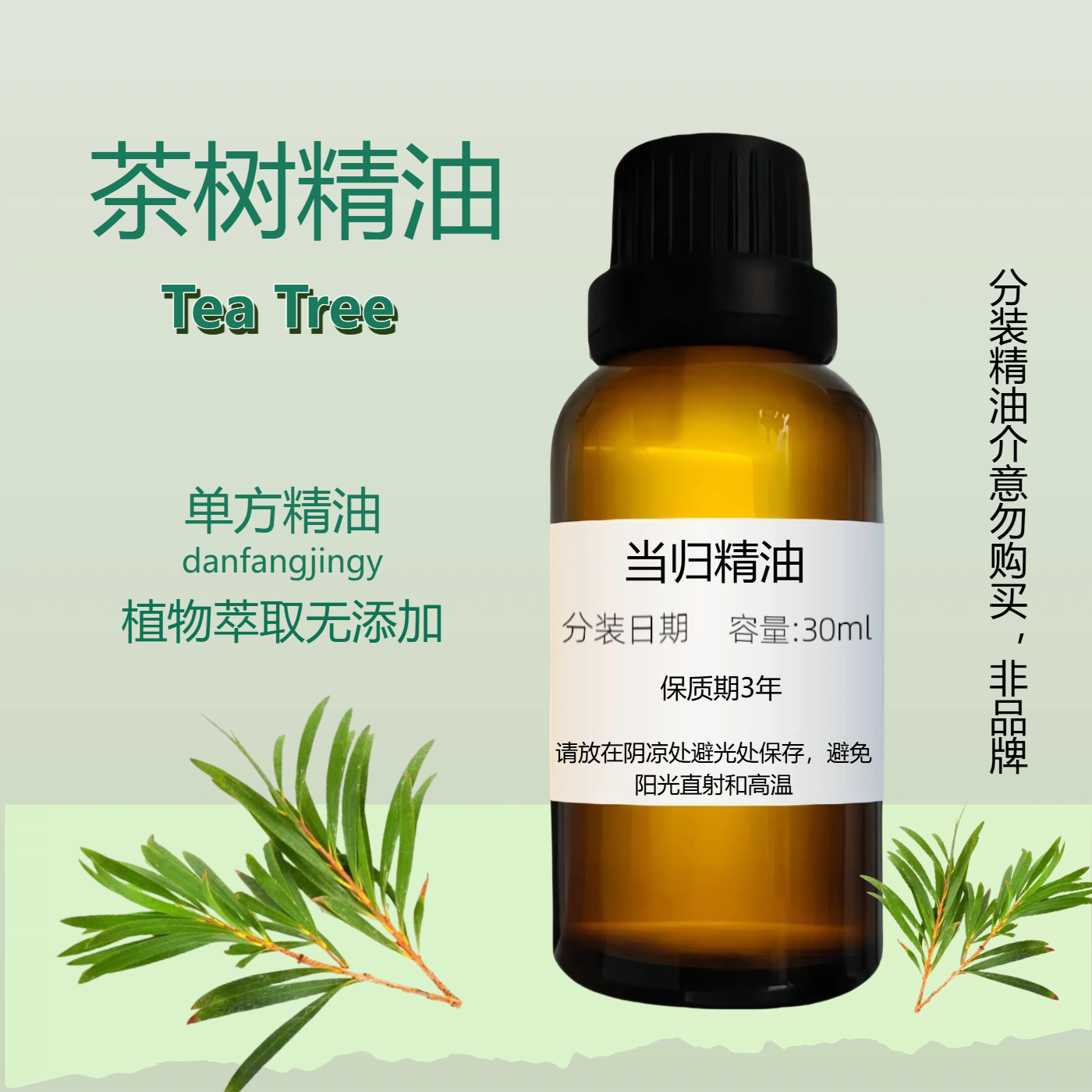茶树枝精油控油祛痘抗皱