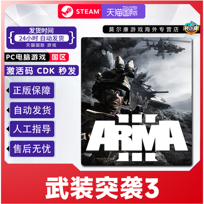 PC中文 steam 武装突袭3 Arma 3 国区 激活码cdkey 正版游戏