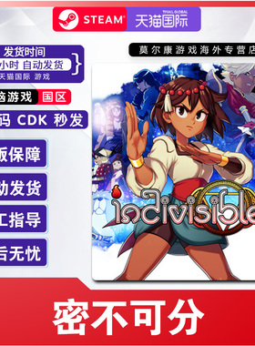 PC中文Steam 密不可分 Indivisible 角色扮演  国区激活码CDKey