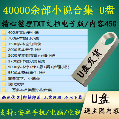 网络小说合集U盘几万本经典文本手机电脑通用优盘起点番茄笔趣阁