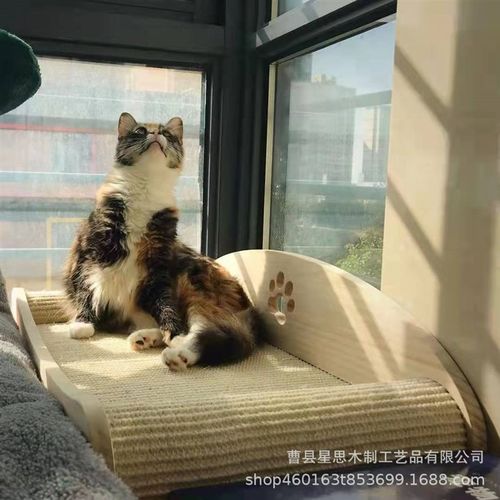猫抓板剑麻布猫抓垫磨爪器不掉屑猫咪玩具猫窝猫咪用品长方形