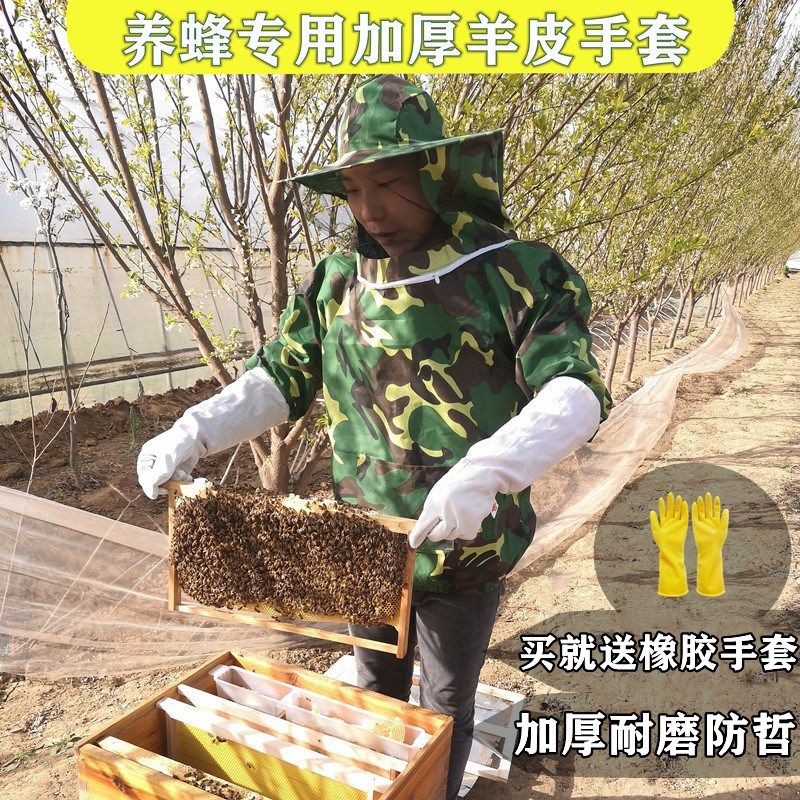 养蜂取蜂蜜羊皮手套加厚透气防蜂蛰帆布手套专用养蜂工具,畜牧/养殖物资,防蜂手套,淘宝优惠券,粉丝福利购,淘宝优惠卷