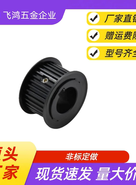 同步带轮 TTPA60T5250-B-P25 /28/30/32/34/35/38/40/42/45  TTPA