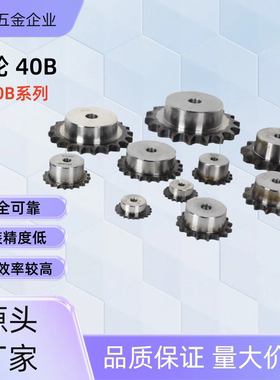 链轮SP40B16-N-14/15/16/17/18/19/20/22/24/25/28/30/32 SP40B16