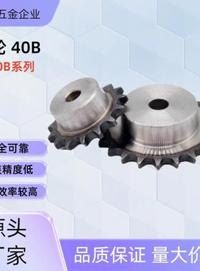 链轮SP40B32-N-20 /22/24/25/28/30/32/35/40 SP40B32-N-28 SP40B