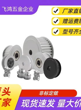 同步带轮 TTPA25T5100-B-P8 /10/12/12.7/14/15/16/17 TTPA25T510
