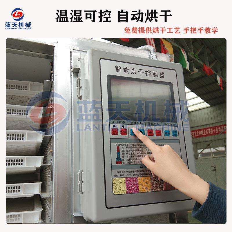 圣女果烘干机小型能番小西红烘干箱智千禧果LT-SNG烘干柿设备茄全