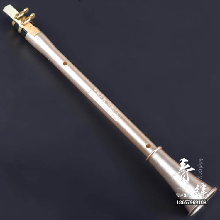 直销新款简易萨克斯口袋单簧管迷你吹奏萨黑管西洋管乐器 带哨片