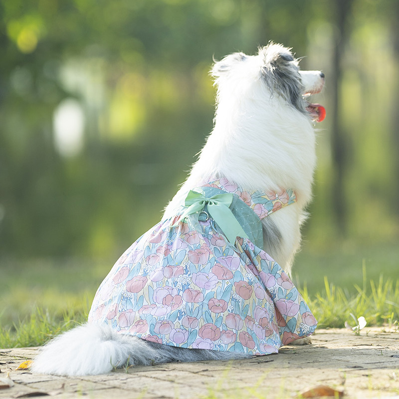 它小灶衬衫衣服宠物狗狗裙子吊带裙可爱背心萨摩耶拉布拉多情侣装