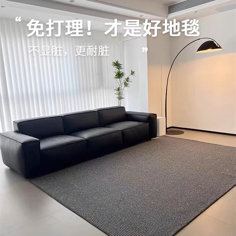 2024新款黑色高级感轻奢极简客厅地毯沙发地垫防水防污免洗可擦洗