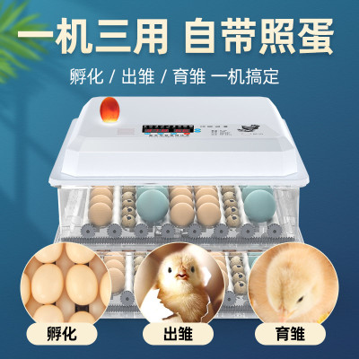 孵化器小型家用全自动智能孵化箱水床迷你小鸡孵化器孵化机孵蛋器