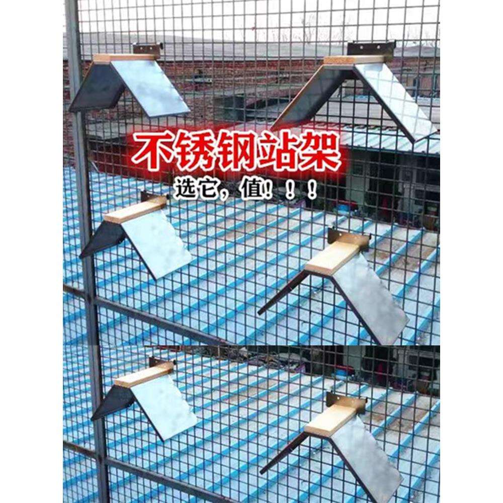 新品赛鸽不锈钢栖架鸽舍挂架站架挂网片公棚三角架做工精细加厚