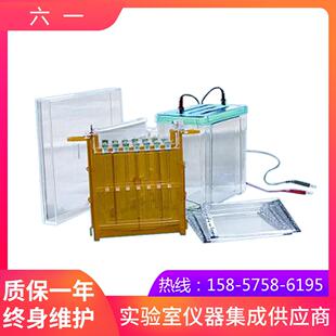 北京六一DYCZ-26C型双向电泳仪