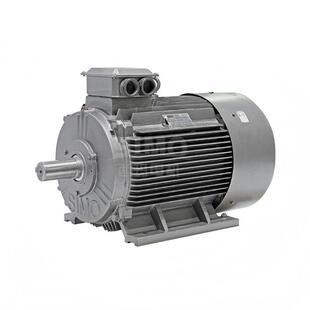 西安西玛电机厂YE3电机YE3-160L-87.5KW