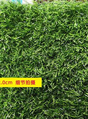 地工围假草坪地草草坪F7575JSJ工户外室外围挡草坪绿色人工草皮