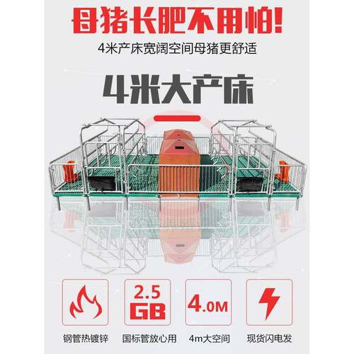 双母猪床保育两体用PLS产床母猪设备猪用产产床分娩床栏定位养殖