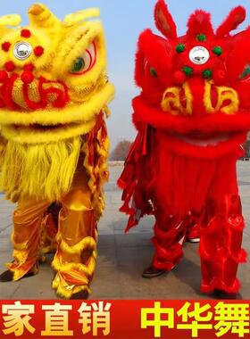 舞狮道具整套南狮人舞狮子龙醒狮南狮双人人成双套服装狮头装