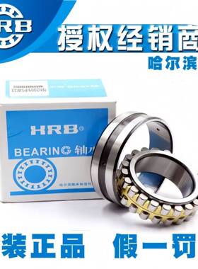 HRB哈尔滨轴承NN3005K/P5/P4W33 机床主轴轴承 高精密