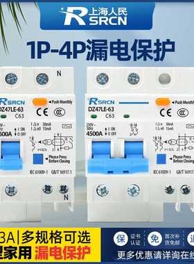 DZ47LE-631P2P空气开关带漏电保护器32a家用电闸40A小型63A