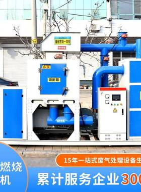 化燃烧设备RT催O活性炭吸蓄热置装R112附CO催化燃烧一体机