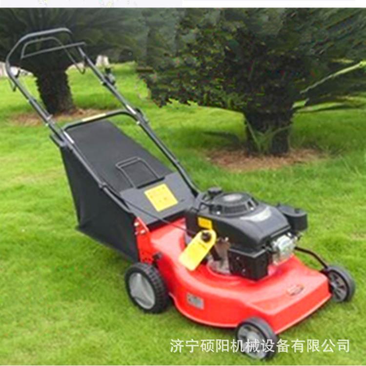 GV16X0手推机汽机WEC油草坪手推式割草机汽油割草生产厂家