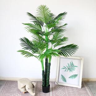 假芭蕉叶散尾葵树白马王子落树室内植大型45盆景装饰地物摆件